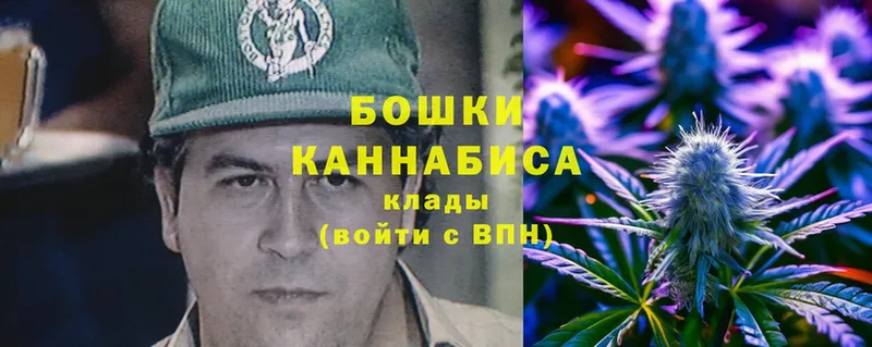 Марихуана SATIVA & INDICA  Гаврилов-Ям 